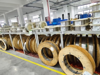 Zhejiang Lisheng Spring Co.,Ltd